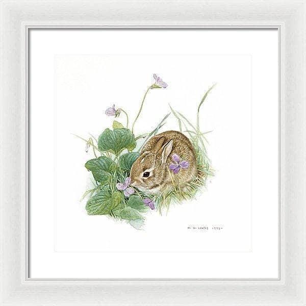 Cottontail Bunny with Violet - Framed Print | Artwork by Glen Loates