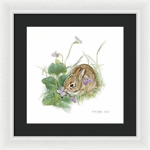 Cottontail Bunny with Violet - Framed Print | Artwork by Glen Loates