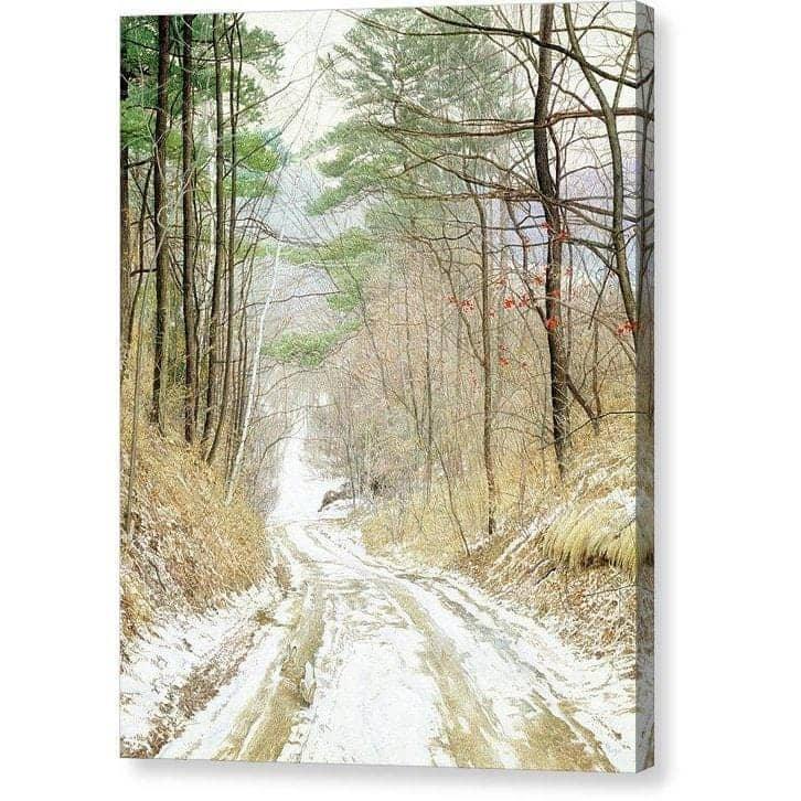 Cottontail Run - Canvas Print | Artwork by Glen Loates