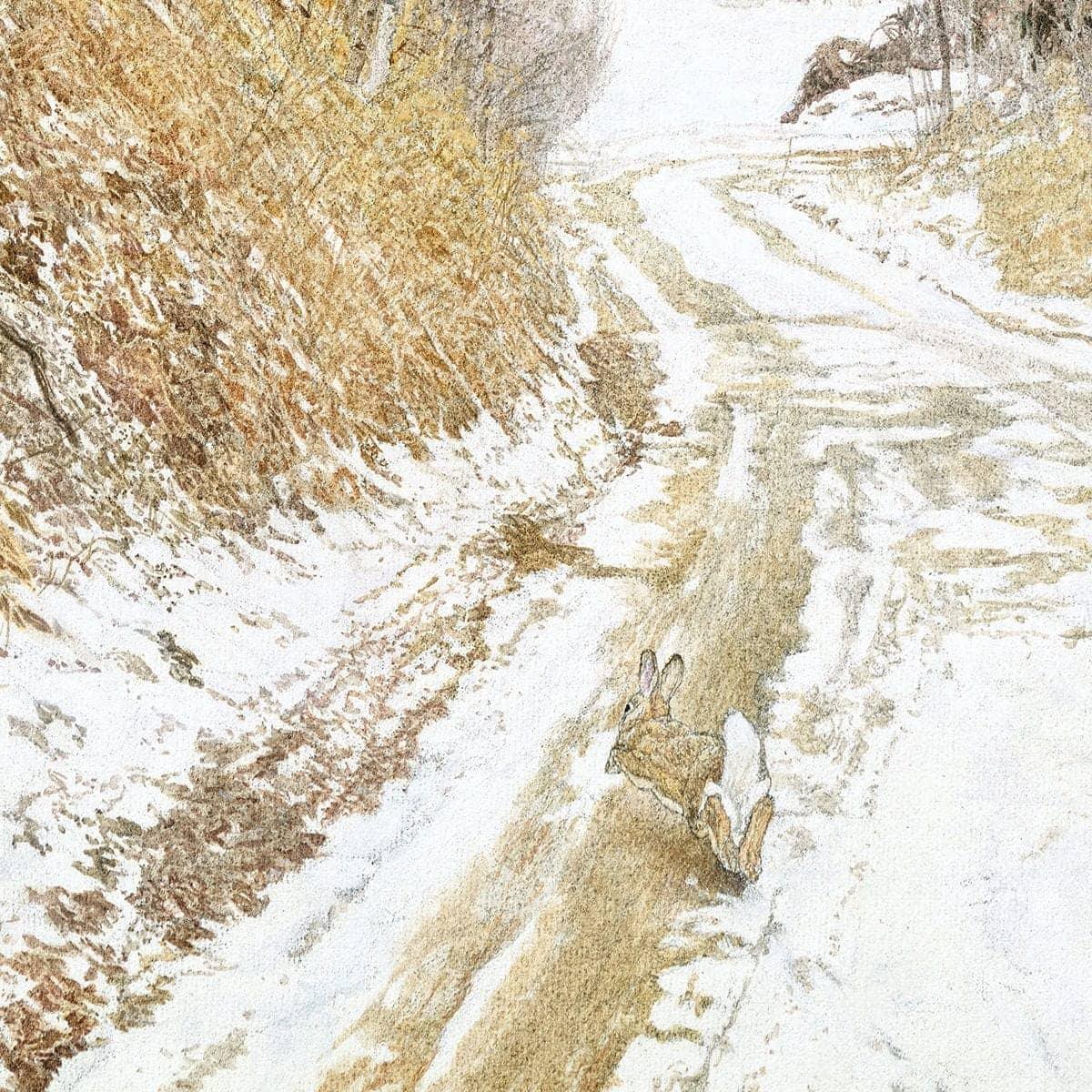 Cottontail Run - Framed Print | Artwork by Glen Loates