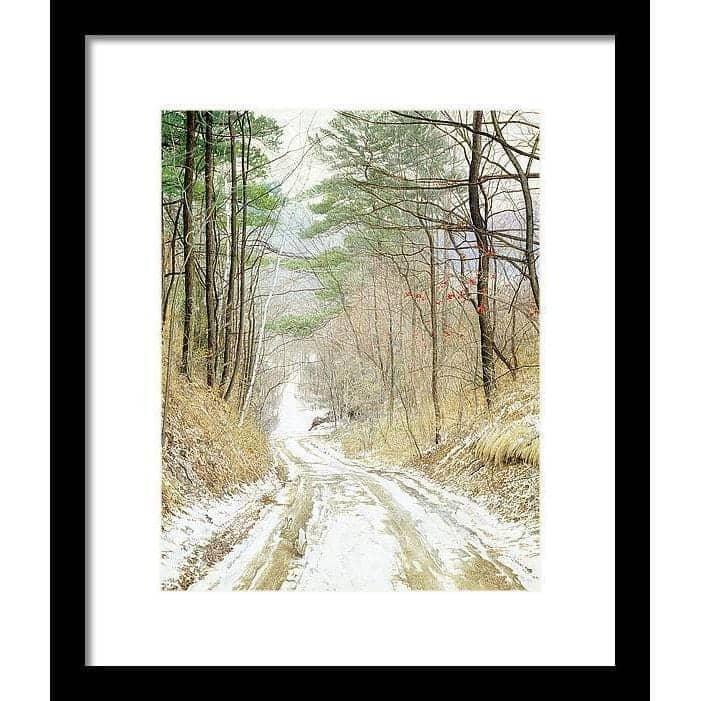 Cottontail Run by Glen Loates, framed piece in a black frame with a white mat