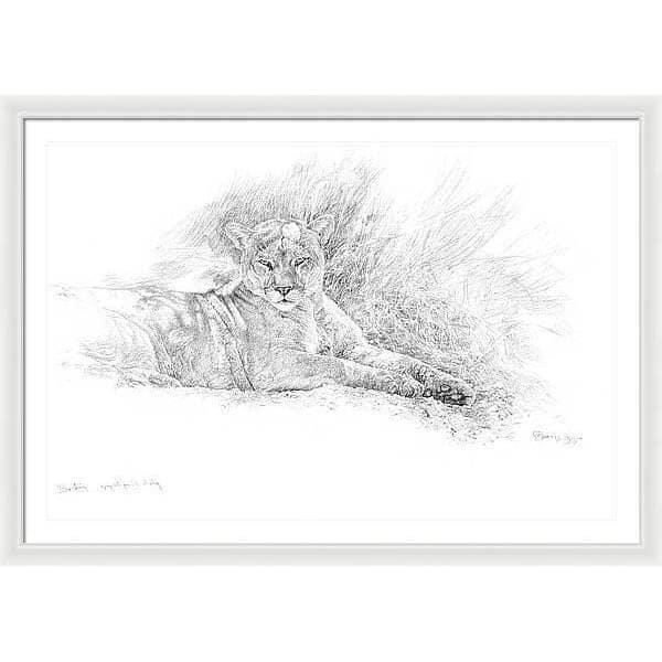 Cougar Basking - Framed Print | Artwork by Glen Loates