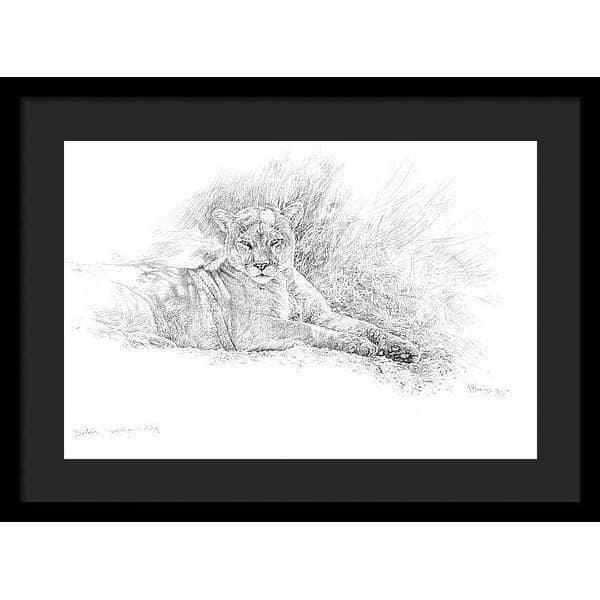 Cougar Basking - Framed Print | Artwork by Glen Loates