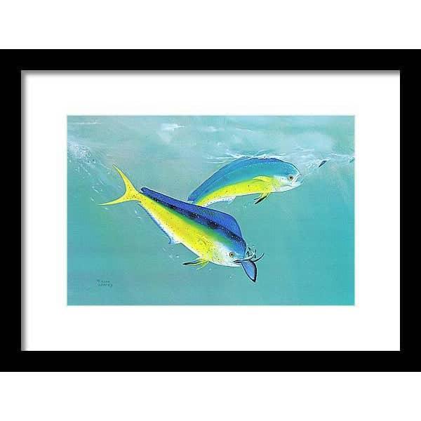 Dolphin - Framed Print | Artwork by Glen Loates