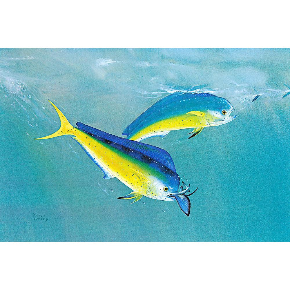 Dolphin - Framed Print | Artwork by Glen Loates