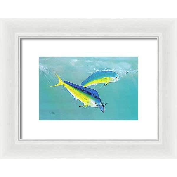 Dolphin - Framed Print | Artwork by Glen Loates