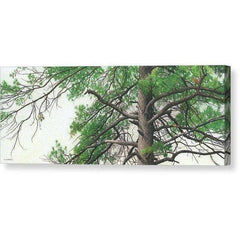 Gallery Canvas