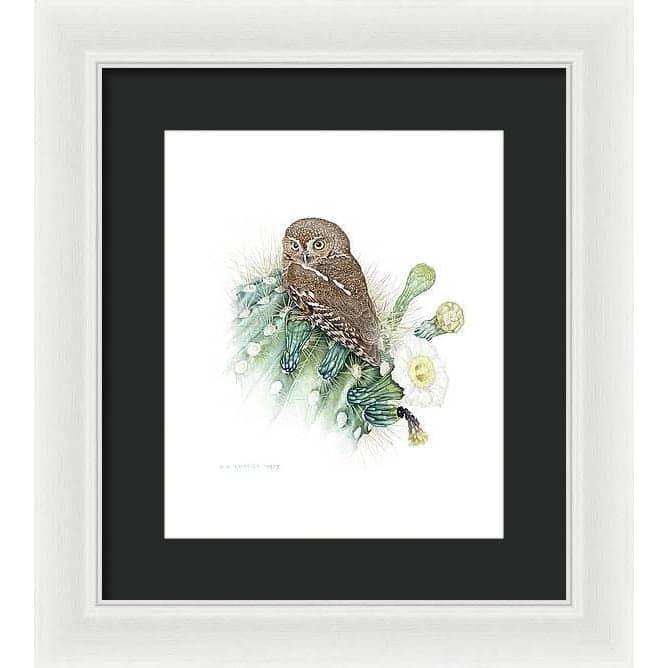 Elf Owl - Framed Print | Artwork by Glen Loates
