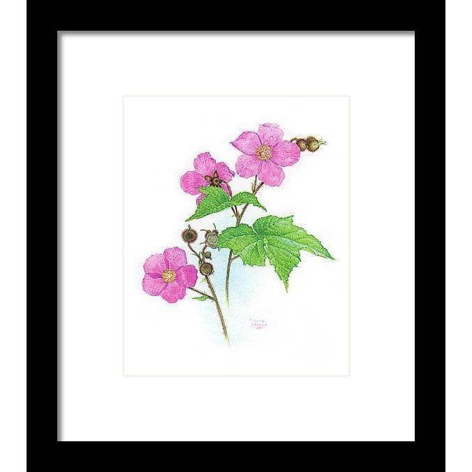 Flowering Raspberry by Glen Loates, framed piece: pink blossoms and broad leaves of flowering raspberry