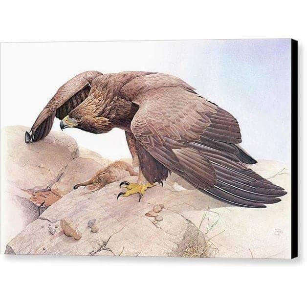 Golden Eagle - Canvas Print | Artwork by Glen Loates