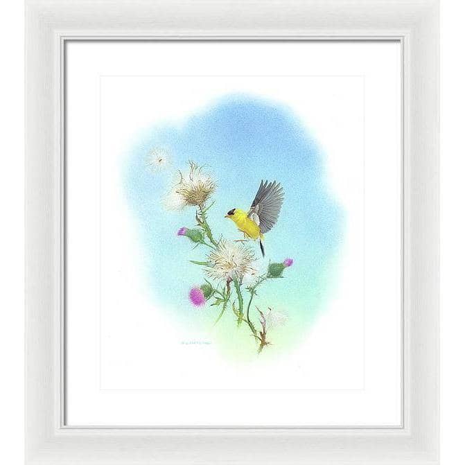 Goldfinch - Framed Print | Artwork by Glen Loates