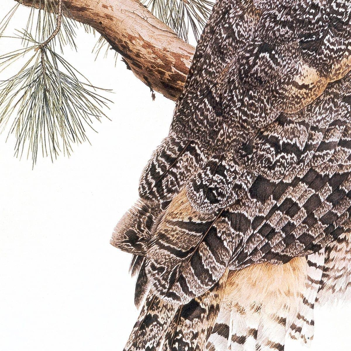 Great-Horned Owl - Framed Print | Artwork by Glen Loates