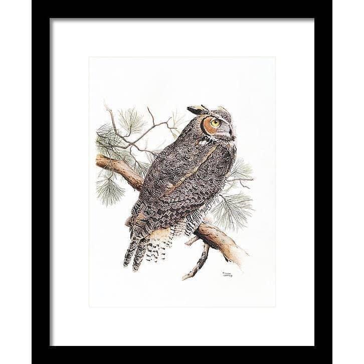 Great-Horned Owl - Framed Print | Artwork by Glen Loates