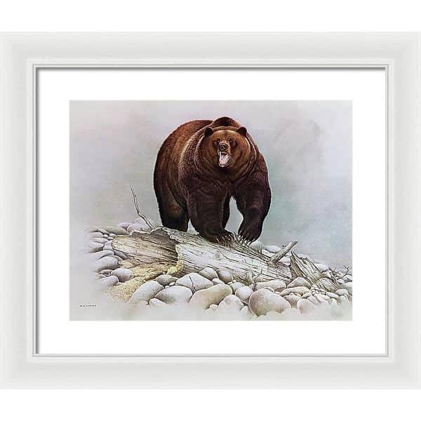 Grizzly Bear - Framed Print | Artwork by Glen Loates