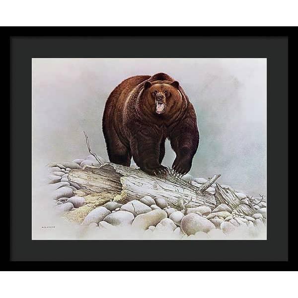 Grizzly Bear - Framed Print | Artwork by Glen Loates
