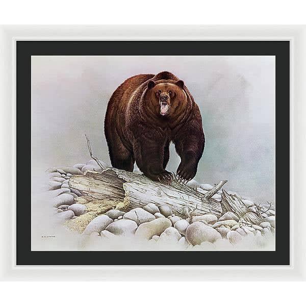 Grizzly Bear - Framed Print | Artwork by Glen Loates