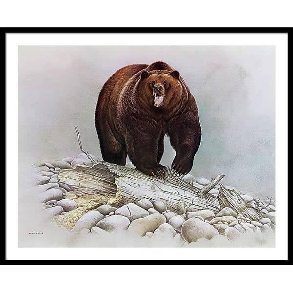 Grizzly Bear - Framed Print | Artwork by Glen Loates