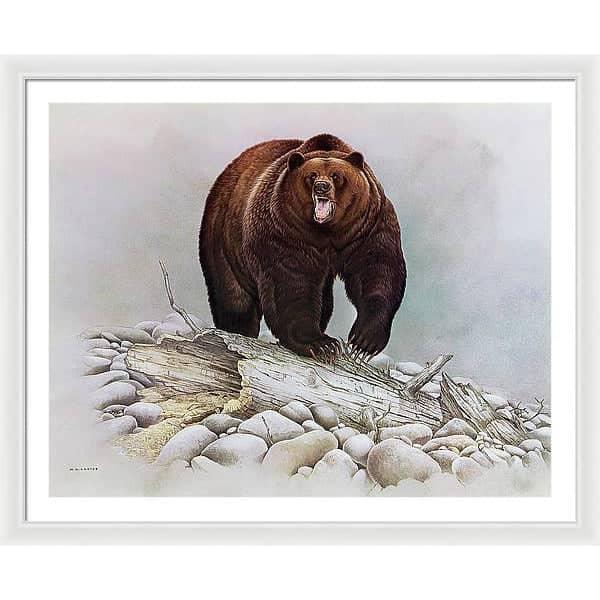 Grizzly Bear - Framed Print | Artwork by Glen Loates