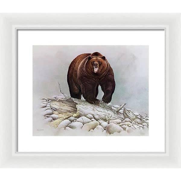 Grizzly Bear - Framed Print | Artwork by Glen Loates