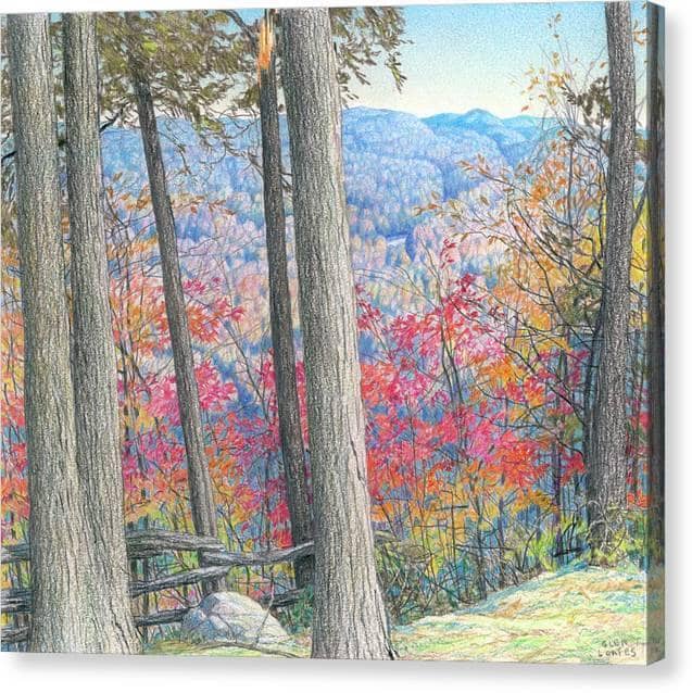Hockley Valley Rock – Toile tendue par Glen Loates, toile de galerie : de hauts troncs encadrant une vallée aux collines d’automne rouges et dorées