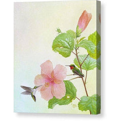 Gallery Canvas