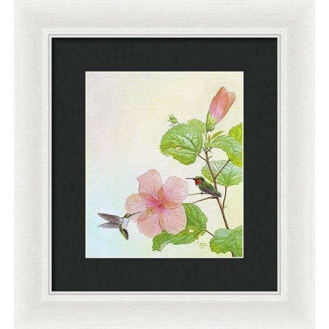 Hummingbirds and Hibiscus - Framed Print | Artwork by Glen Loates