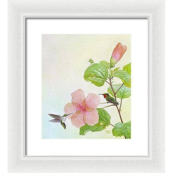 Hummingbirds and Hibiscus - Framed Print | Artwork by Glen Loates