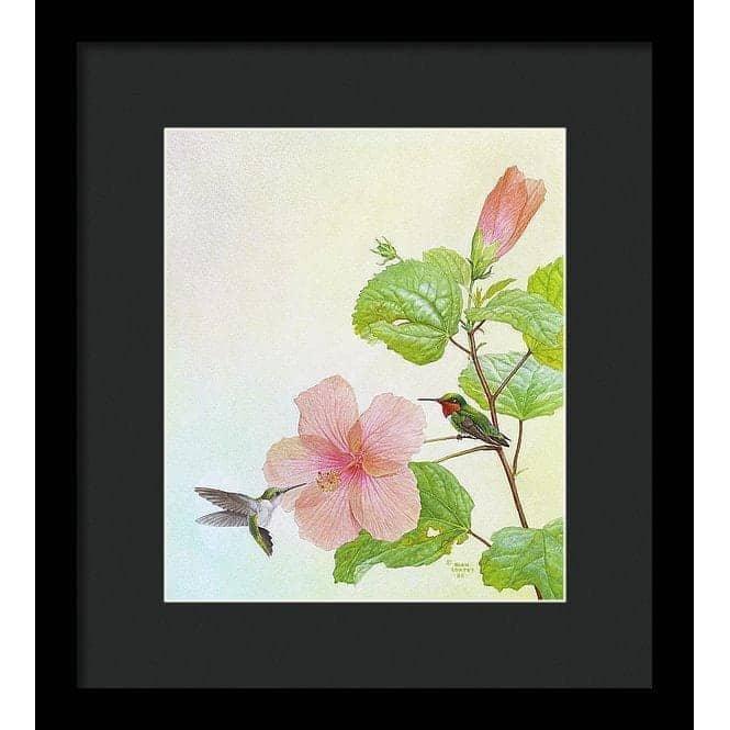 Hummingbirds and Hibiscus - Framed Print | Artwork by Glen Loates