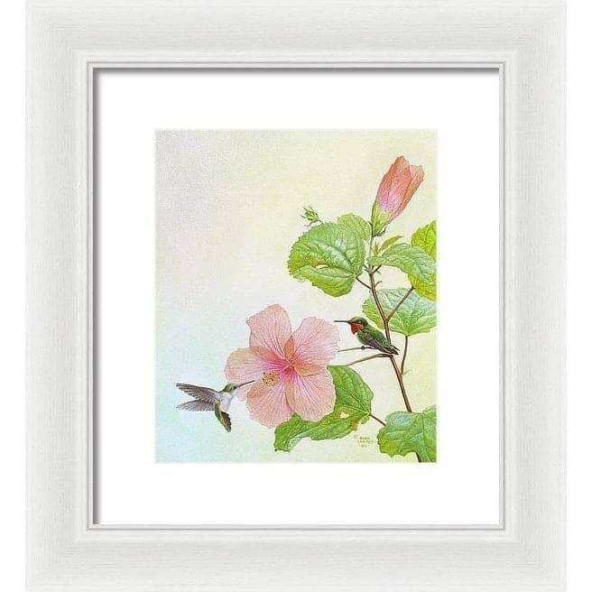 Hummingbirds and Hibiscus - Framed Print | Artwork by Glen Loates