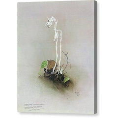 Gallery Canvas
