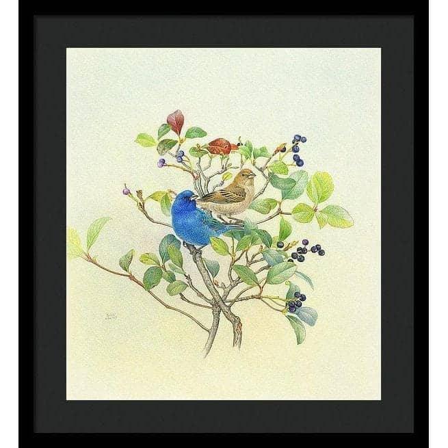 Indigo Buntings - Framed Print | Artwork by Glen Loates