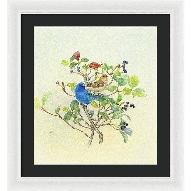 Indigo Buntings - Framed Print | Artwork by Glen Loates