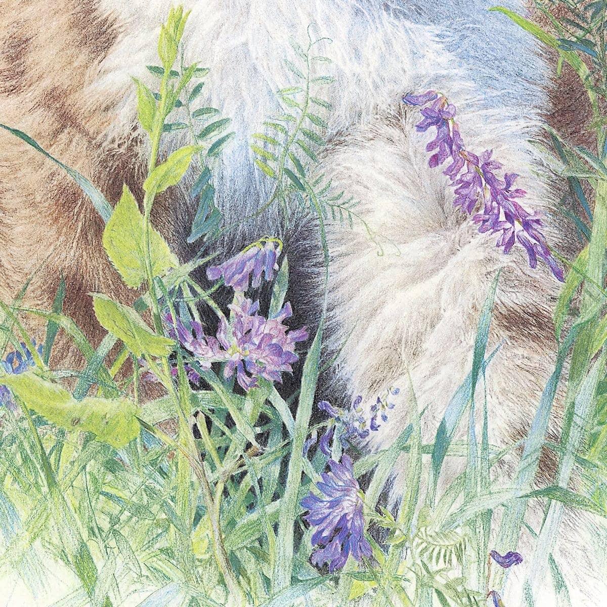 Inquisitive - Canvas Print | Artwork by Glen Loates