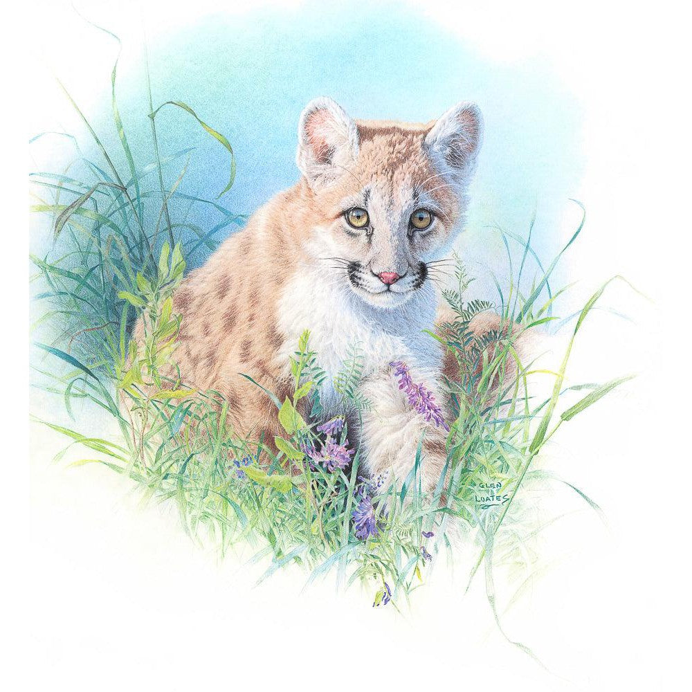 Inquisitive - Canvas Print | Artwork by Glen Loates