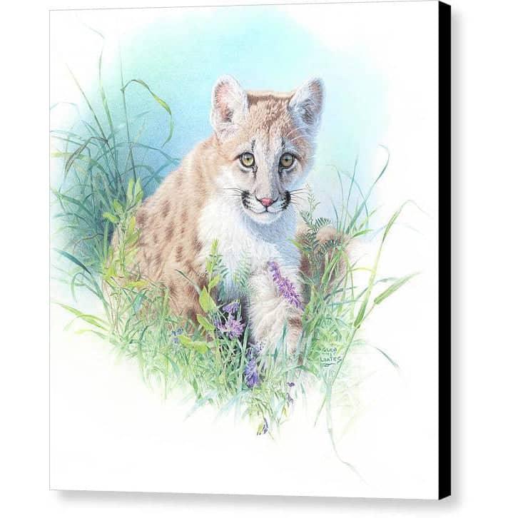 Inquisitive - Canvas Print | Artwork by Glen Loates