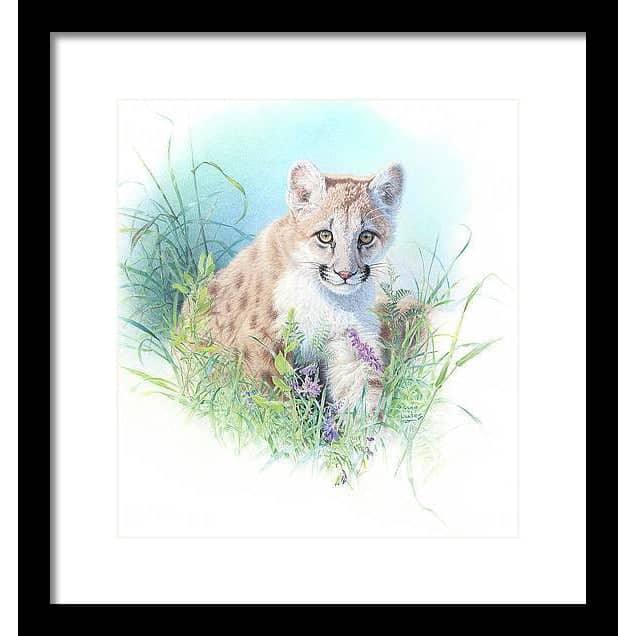 Inquisitive by Glen Loates, framed piece: a cougar kitten peering out from wildflowers and grass