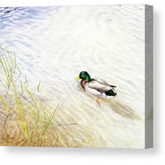 Gallery Canvas