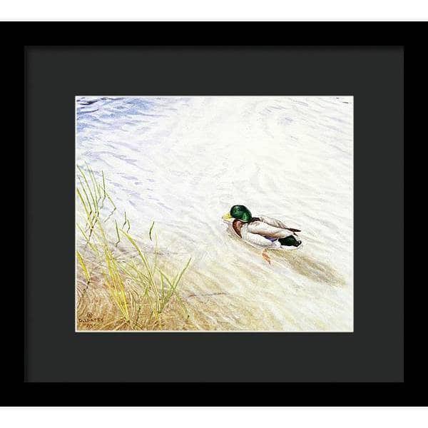 Into The Shallows - Framed Print | Artwork by Glen Loates