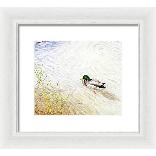 Into The Shallows - Framed Print | Artwork by Glen Loates