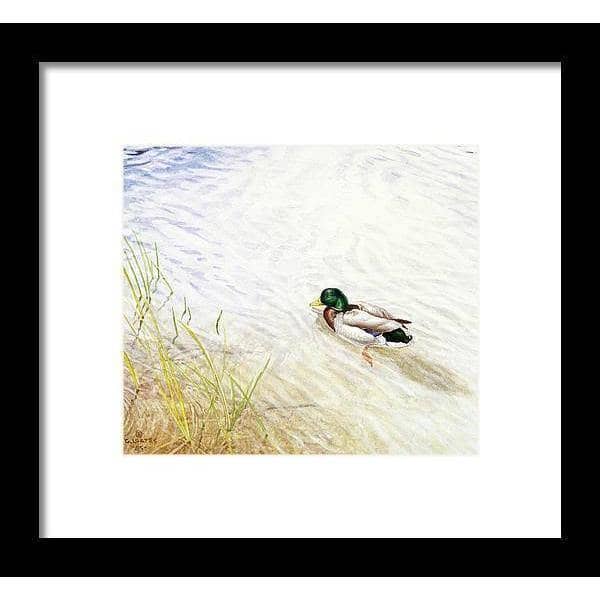 Into The Shallows - Framed Print | Artwork by Glen Loates
