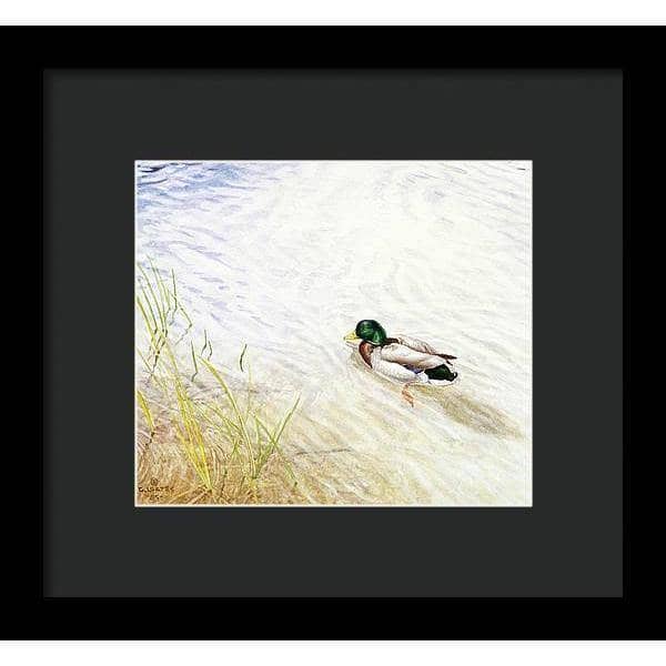 Into The Shallows - Framed Print | Artwork by Glen Loates