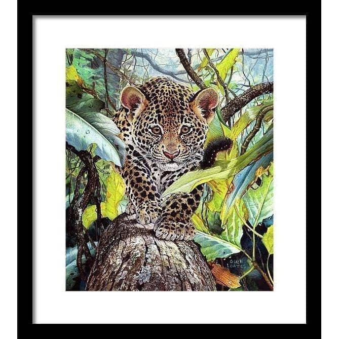 Jaguar Cub - Framed Print | Artwork by Glen Loates