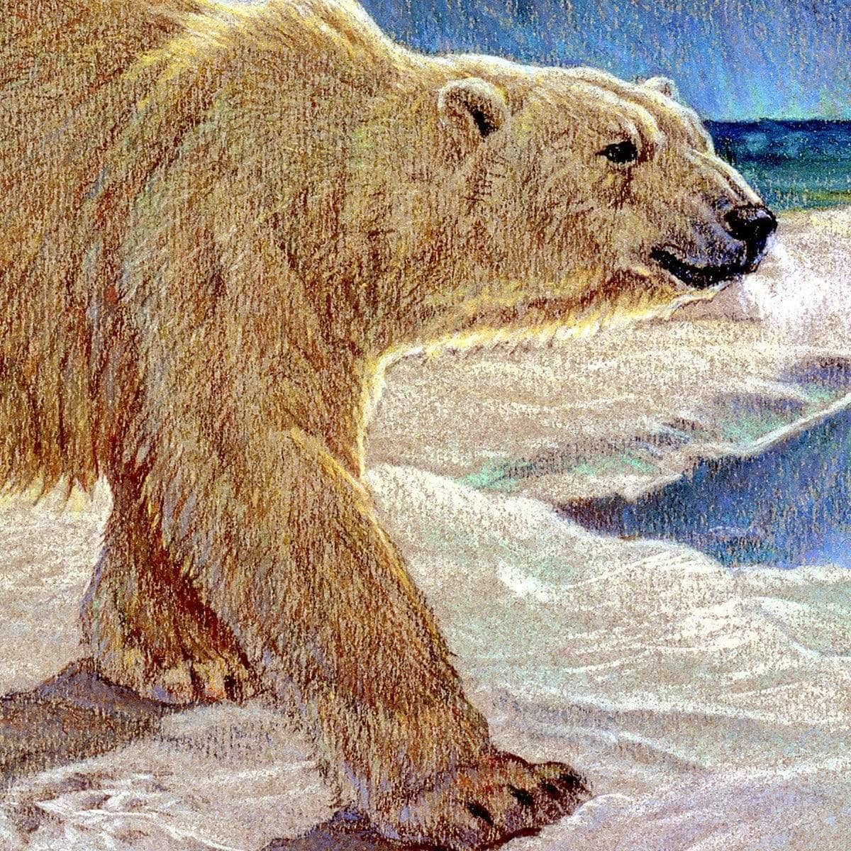 King of the Midnight Sun - Framed Print | Artwork by Glen Loates