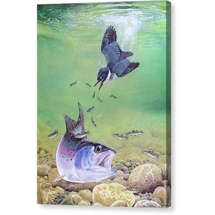 Kingfisher And Rainbow Trout by Glen Loates, gallery canvas: a kingfisher diving above a rainbow trout in a clear stream