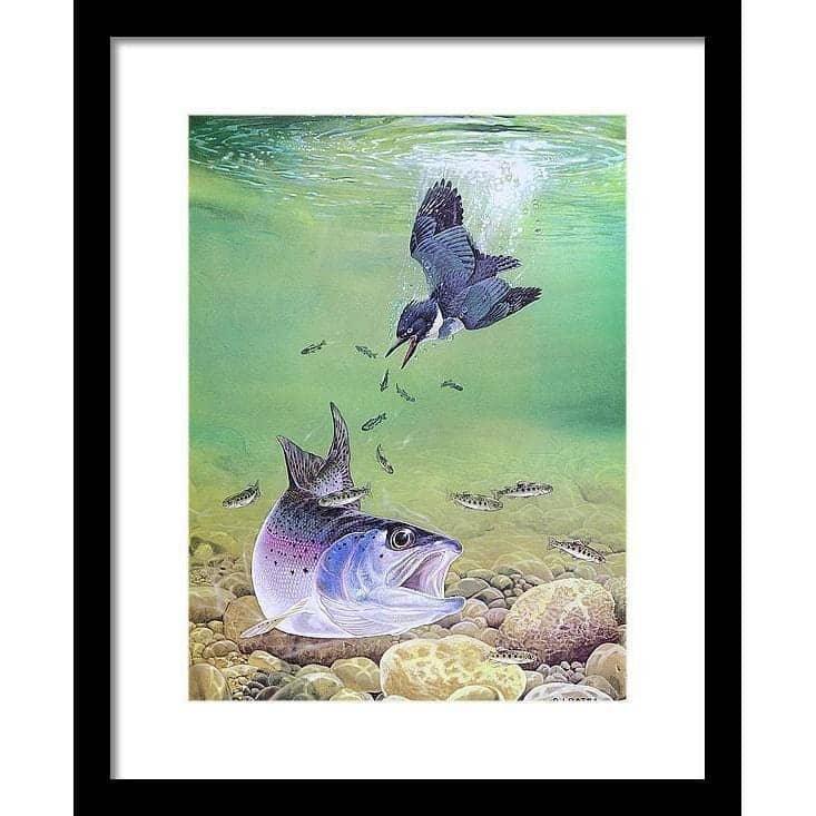 Kingfisher And Rainbow Trout - Framed Print | Artwork by Glen Loates