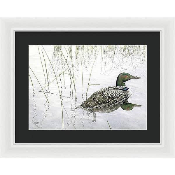 Loon - Framed Print | Artwork by Glen Loates