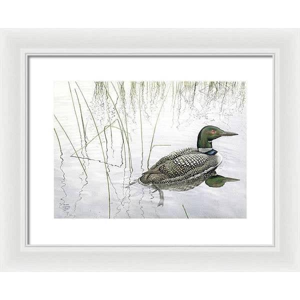 Loon - Framed Print | Artwork by Glen Loates