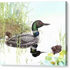Gallery Canvas