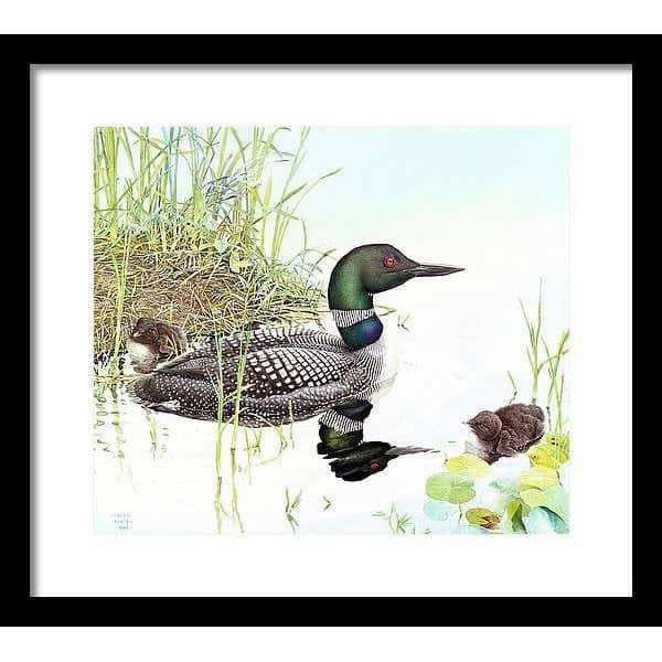 Loon with Young - Framed Print | Artwork by Glen Loates