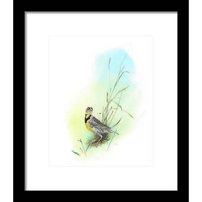 Meadow Lark - Framed Print | Artwork by Glen Loates